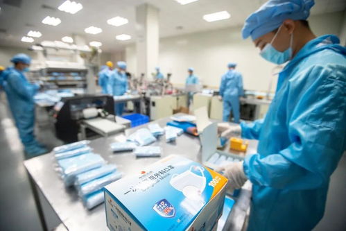 全市重點項目上半年順利實現‘雙過半’任務，投資額達123億元，職業中介服務助力發展